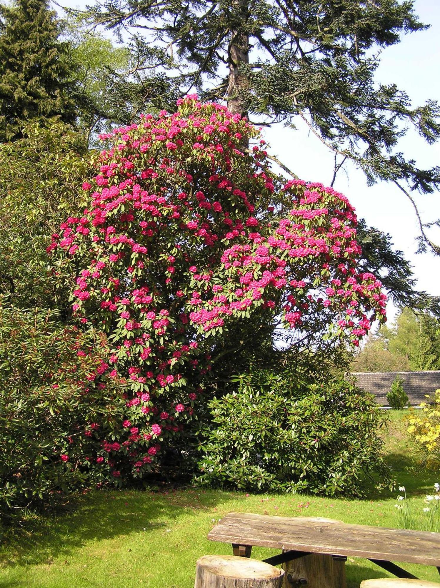 Pitlochry Dundarach Hotel Luaran gambar
